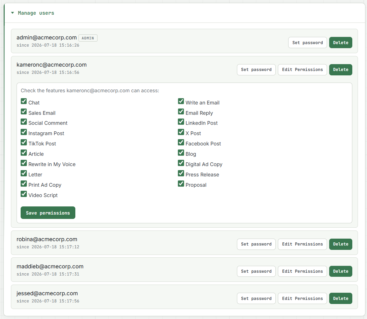 Write85 team management showing per-user feature permissions